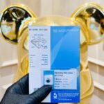 Kim Cương Thiên Nhiên 8.1mm – Blue – VVS1 – Kiểm định SJC – Mã VC1269