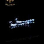 Bông Tai Kim Cương “Clitus” – Mã BT792