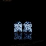 Bông Tai Nữ Kim Cương “Delicacy” – BT739