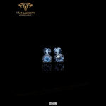 Bông Tai Kim Cương “Acacia” – Mã BT515