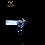 Bông Tai Kim Cương Eudora – Mã BT717